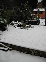 Snow - December 30th 2006